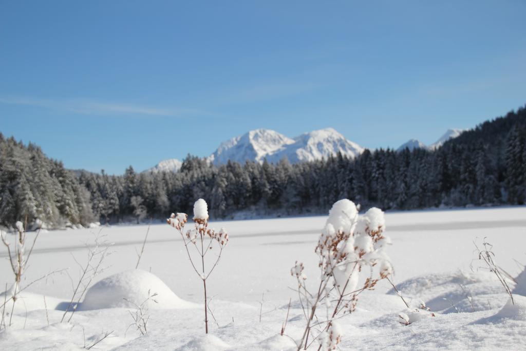 Ferienwohnungen Weiherbach - Hallenbad Berchtesgaden Luaran gambar