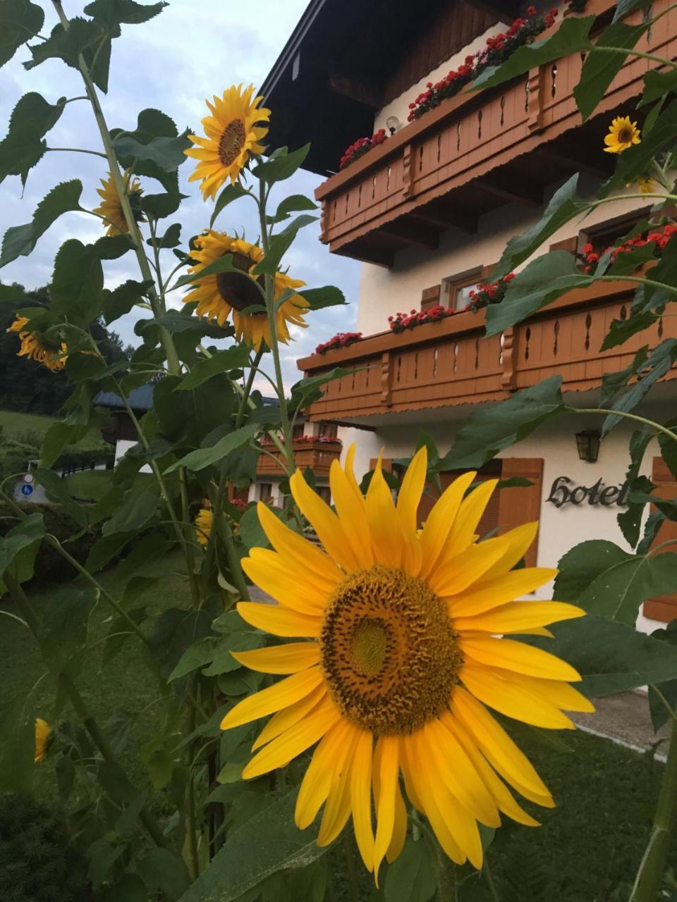 Ferienwohnungen Weiherbach - Hallenbad Berchtesgaden Luaran gambar