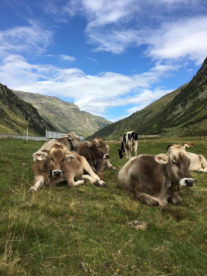 Ferienwohnungen Weiherbach - Hallenbad Berchtesgaden Luaran gambar